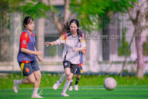 苹果手机上的内容栏目列表